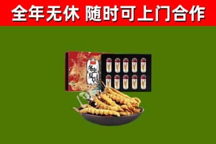 浦东新区烟酒回收冬虫夏草礼盒.jpg